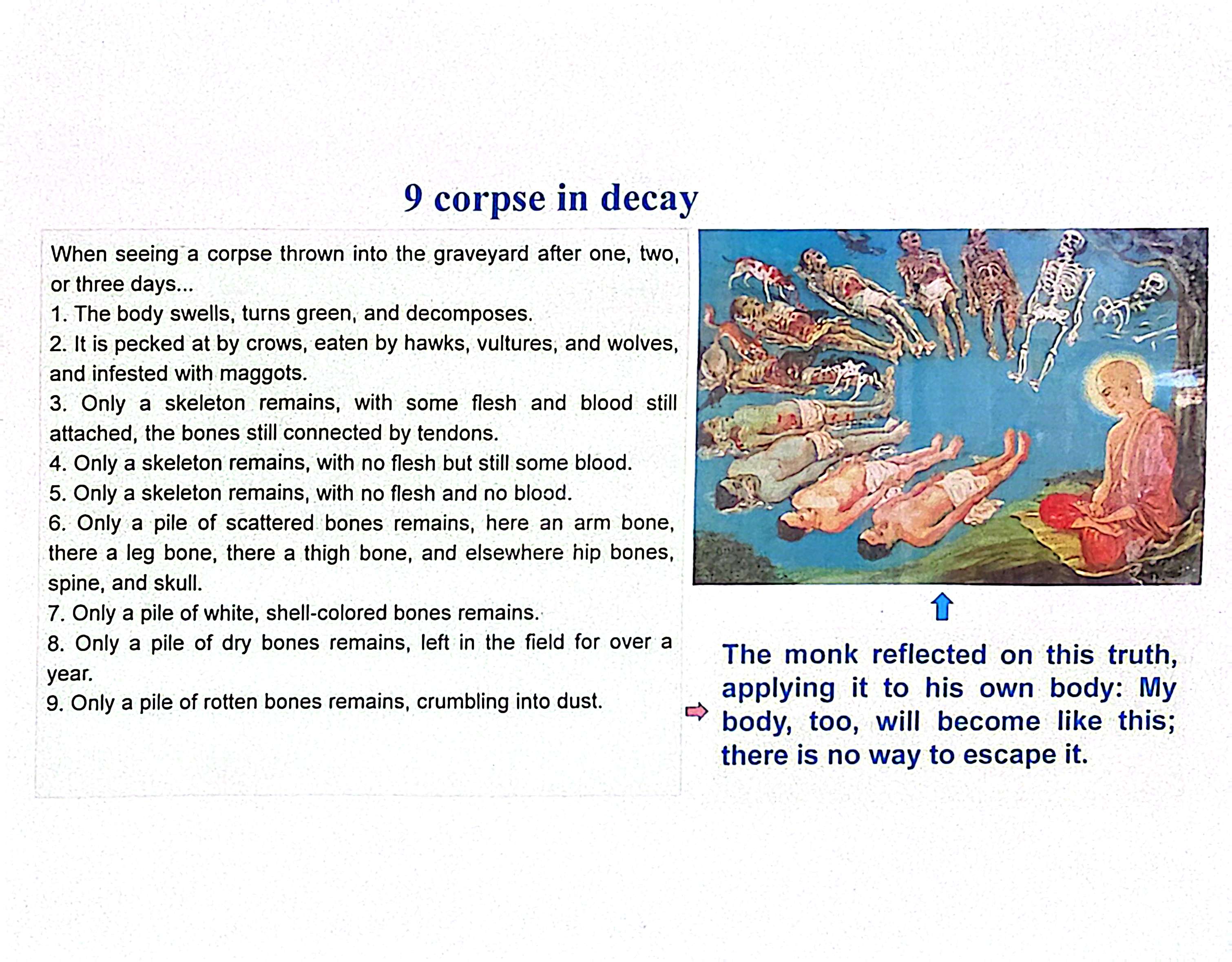 The monk reflects on the truth of decay